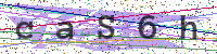 Enter Security Code