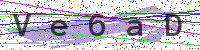Enter Security Code