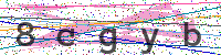 Sicherheitscode eingeben