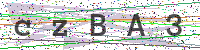 Enter Security Code