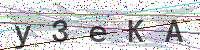 Enter Security Code