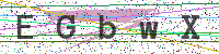 Enter Security Code
