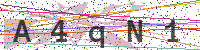 Enter Security Code