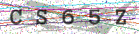 Enter Security Code