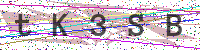 Enter Security Code