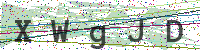 Enter Security Code