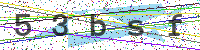 Enter Security Code