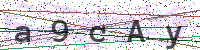 Enter Security Code