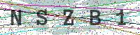 Enter Security Code