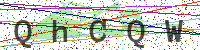 Enter Security Code