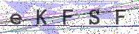 Sicherheitscode eingeben