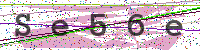 Enter Security Code