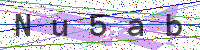 Enter Security Code