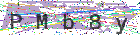 Enter Security Code