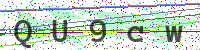 Enter Security Code