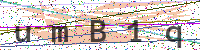Enter Security Code