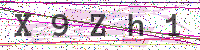 Enter Security Code