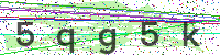 Enter Security Code