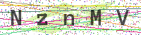 Enter Security Code