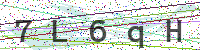 Enter Security Code
