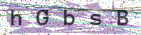Enter Security Code