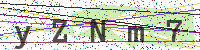 Enter Security Code