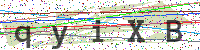 Sicherheitscode eingeben