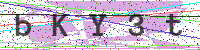 Sicherheitscode eingeben