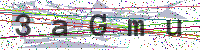 Enter Security Code