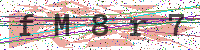 Sicherheitscode eingeben