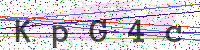 Enter Security Code