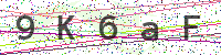 Enter Security Code