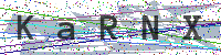 Sicherheitscode eingeben