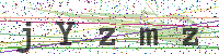 Enter Security Code