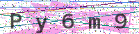 Enter Security Code