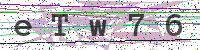 Enter Security Code