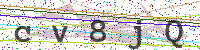 Enter Security Code