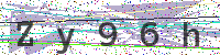 Enter Security Code