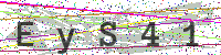 Enter Security Code