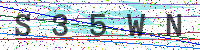 Enter Security Code