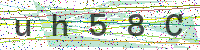 Enter Security Code