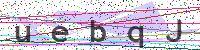 Enter Security Code