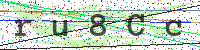 Enter Security Code