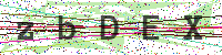 Enter Security Code