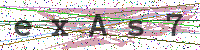 Enter Security Code