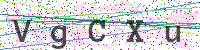 Enter Security Code