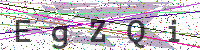 Enter Security Code