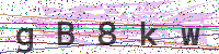 Enter Security Code