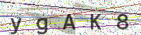 Enter Security Code