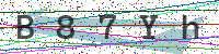 Enter Security Code